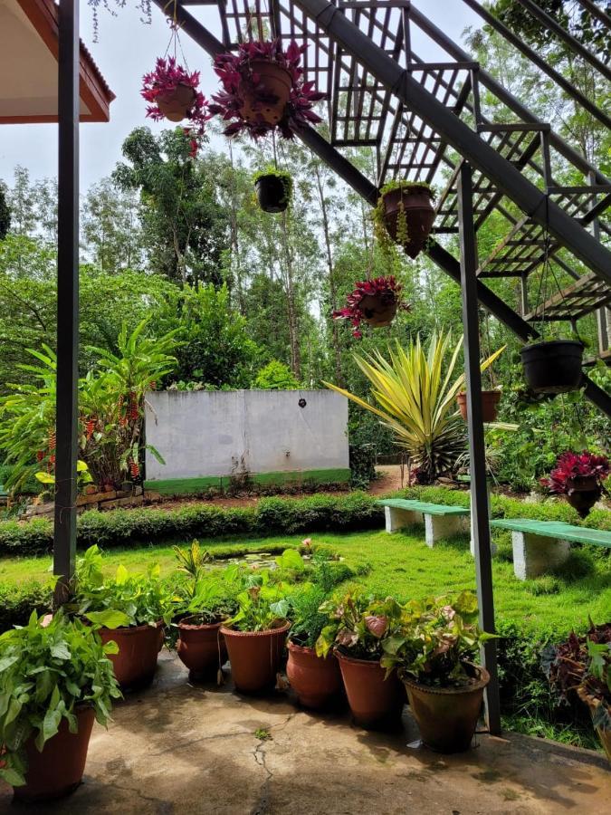 Bluebell Homestay Chikmagalūr المظهر الخارجي الصورة